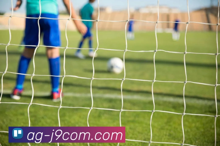 九游会官网服务体系